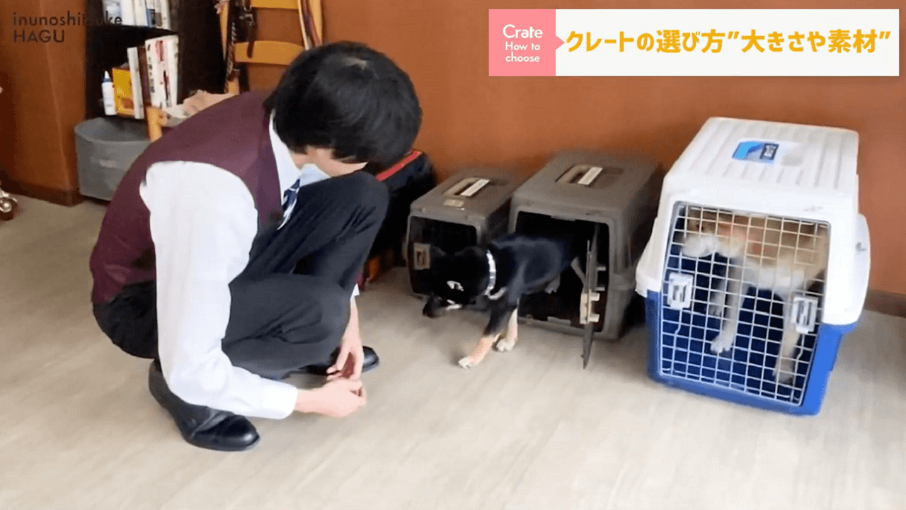 東京都文京区犬のしつけ教室で中型のクレートを説明するドッグトレーナー