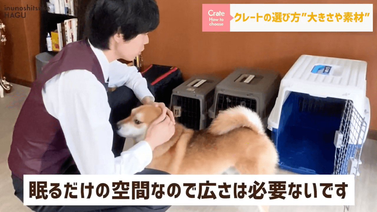 東京都文京区犬のしつけ教室で犬のクレートの説明をするトレーナーと犬