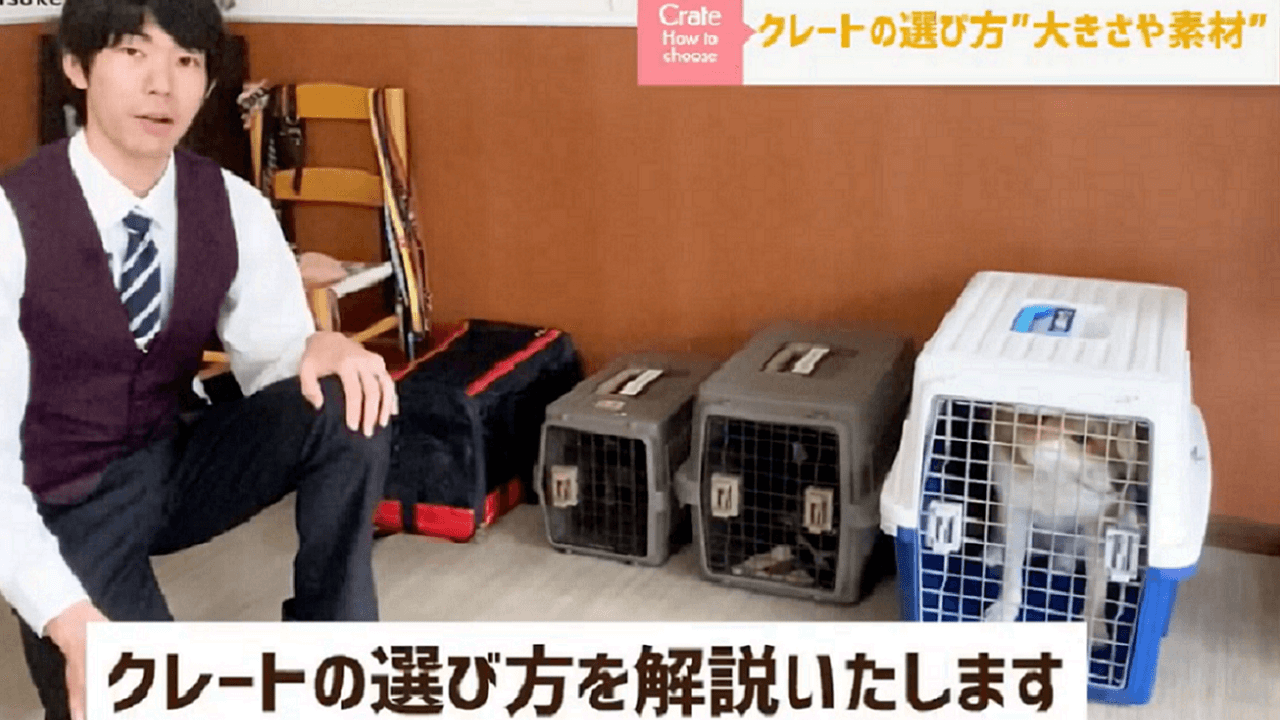 東京都文京区犬のしつけ教室でクレートの選び方を説明するドッグトレーナー