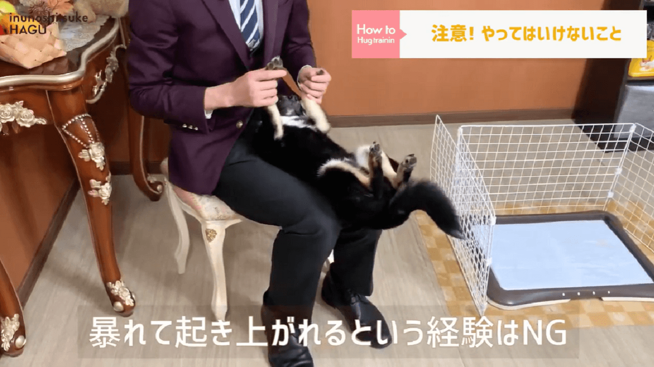 東京都文京区の犬しつけ教室でやってはいけないことの説明