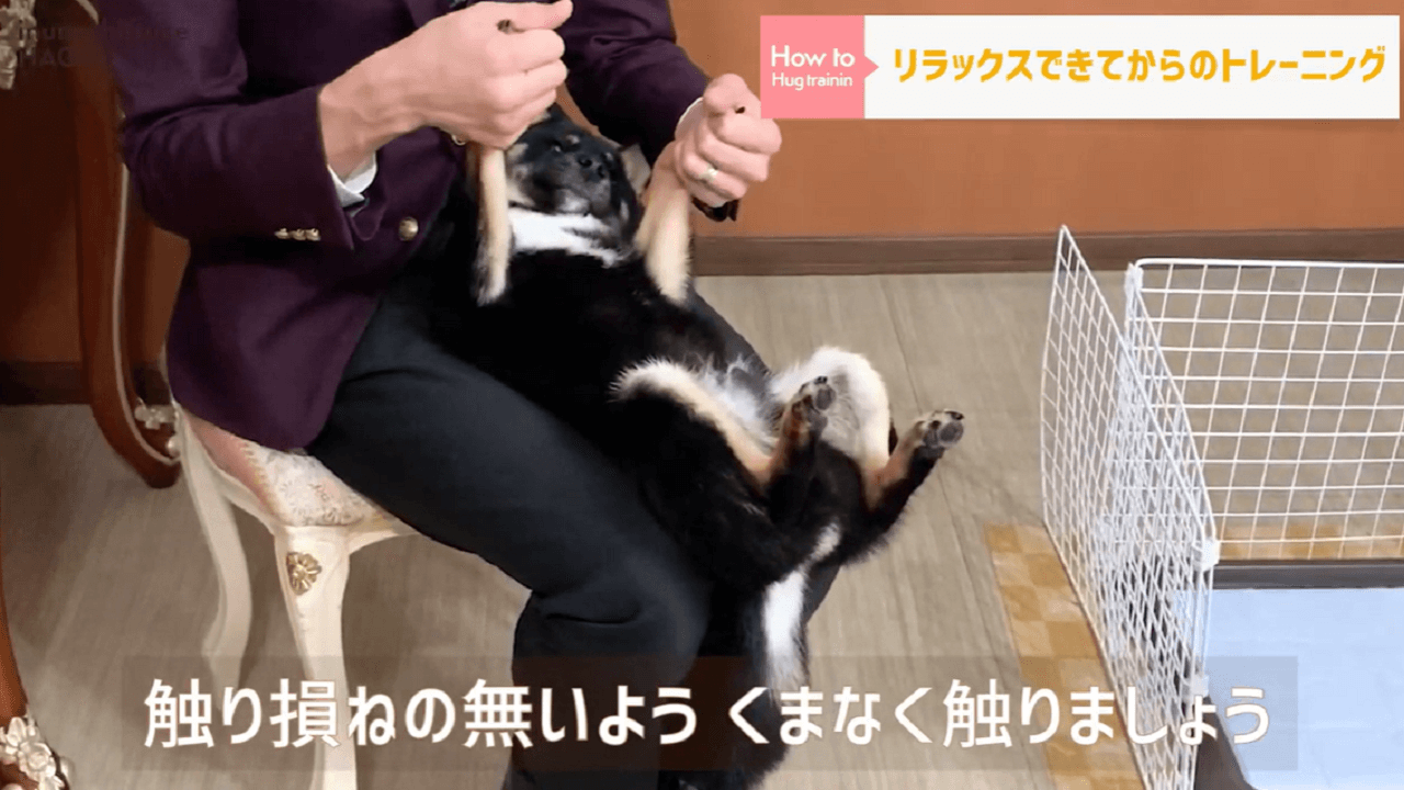東京都文京区の犬のしつけ教室で犬を触っている