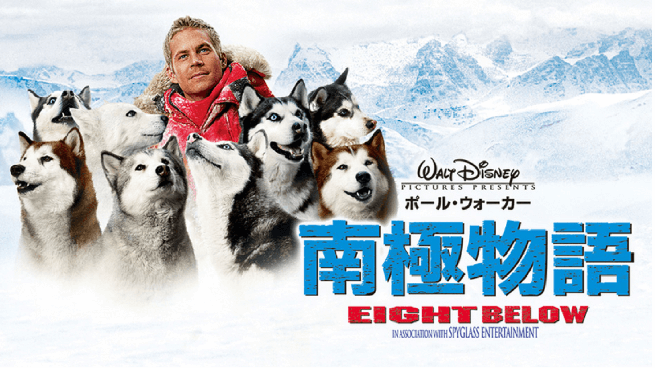 ８頭のシベリアンハスキーと人との絆 南極物語 犬映画 あらすじ 犬のしつけ ハグ
