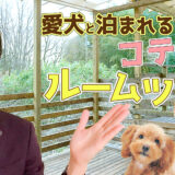 【ルームツアー】那須の大自然で愛犬と泊まれるコテージを紹介！【格安】ドッグトレーナーオーナーのコテージで安心！