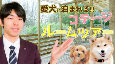 【ルームツアー】那須の大自然で愛犬と泊まれるコテージを紹介！【格安】ドッグトレーナーオーナーのコテージで安心！