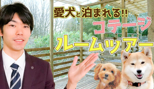 【ドッグトレーナーオーナー】那須の大自然で愛犬と泊まれるコテージを紹介！