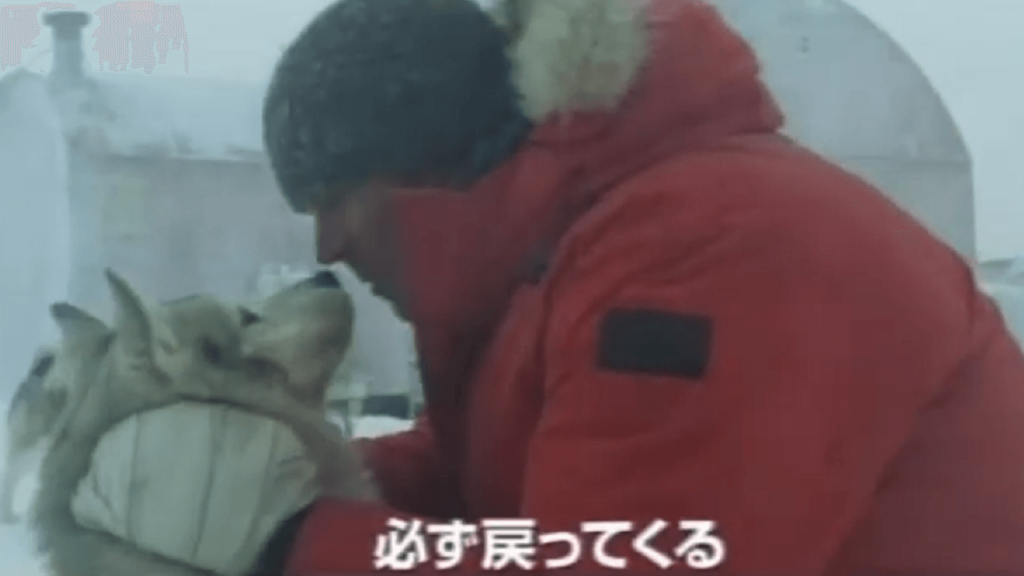 犬との別れを惜しんで再会を誓っている ８頭のシベリアンハスキーと人との絆『南極物語』【犬映画】あらすじ