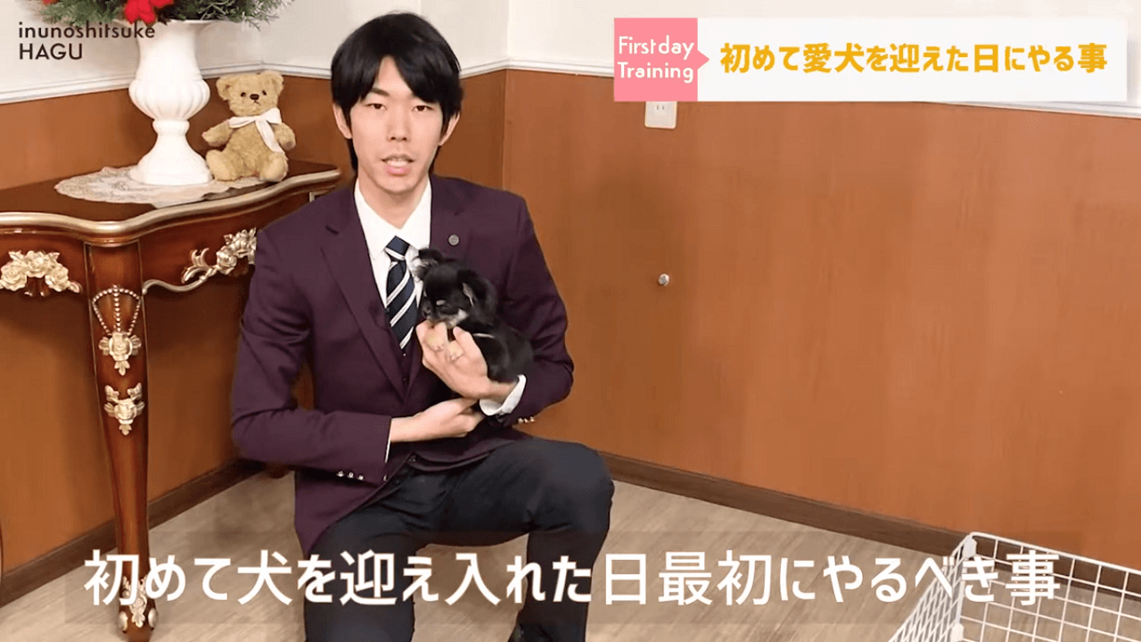 東京都文京区の犬のしつけ教室で犬を抱っこしている