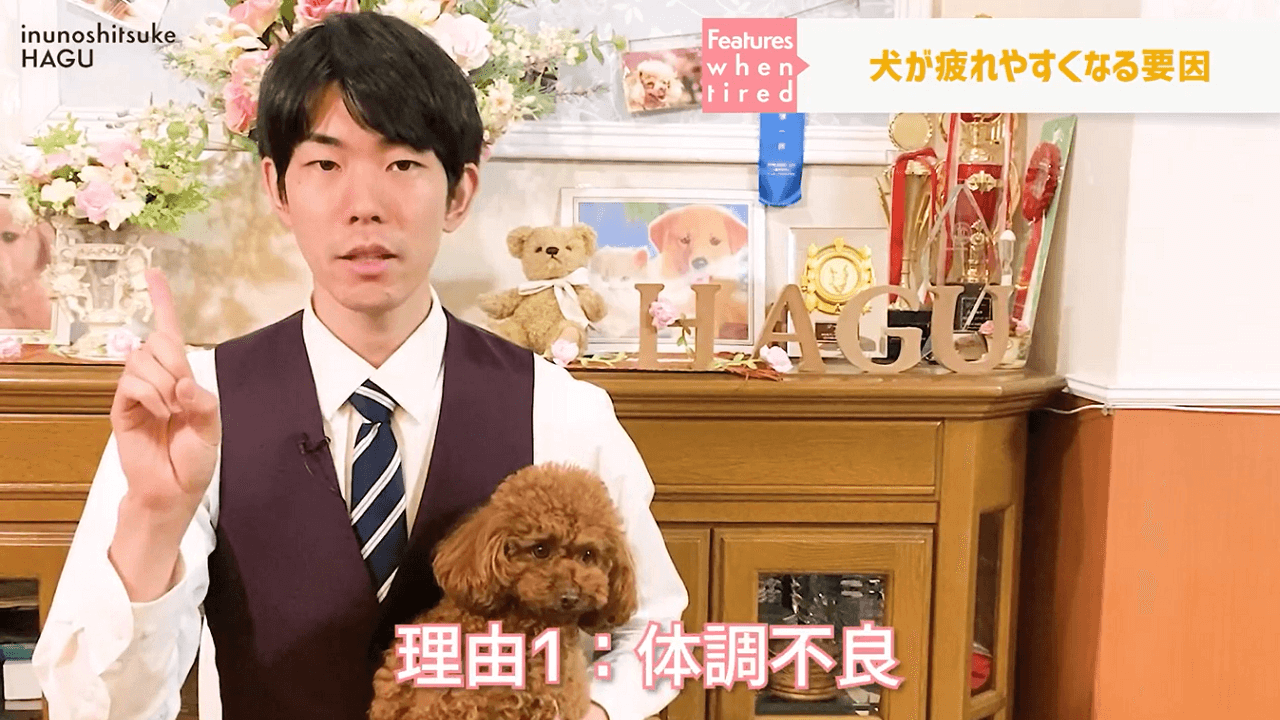 文京区のいぬのしつけ教室で犬の体調を説明するドッグトレーナー