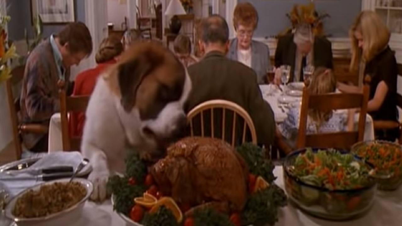 セントバーナードの子犬が部屋のテーブルの上に乗せられた丸ごと焼かれたチキンにかぶりついている