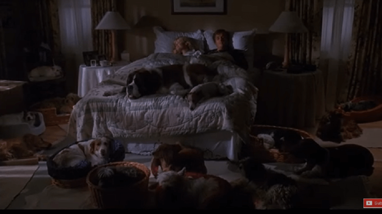 ベッドに２人寝ている周りに沢山の犬達がいる
