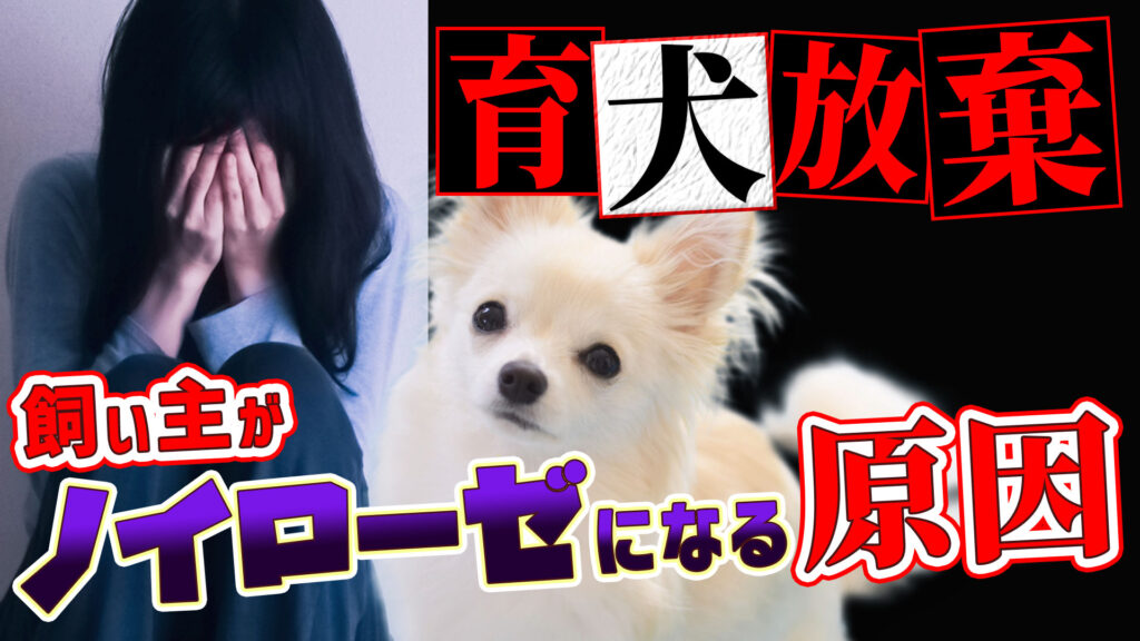 【育てるのをあきらめないで】愛犬を手放す原因につながる飼い主の「ノイローゼ」その理由と解決法について語ります!【飼育放棄】