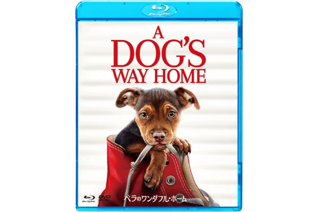 犬映画 ベラのワンダフル ホーム ピットブル犬 あらすじ紹介 原作者w ブルース キャメロン 犬のしつけ ハグ