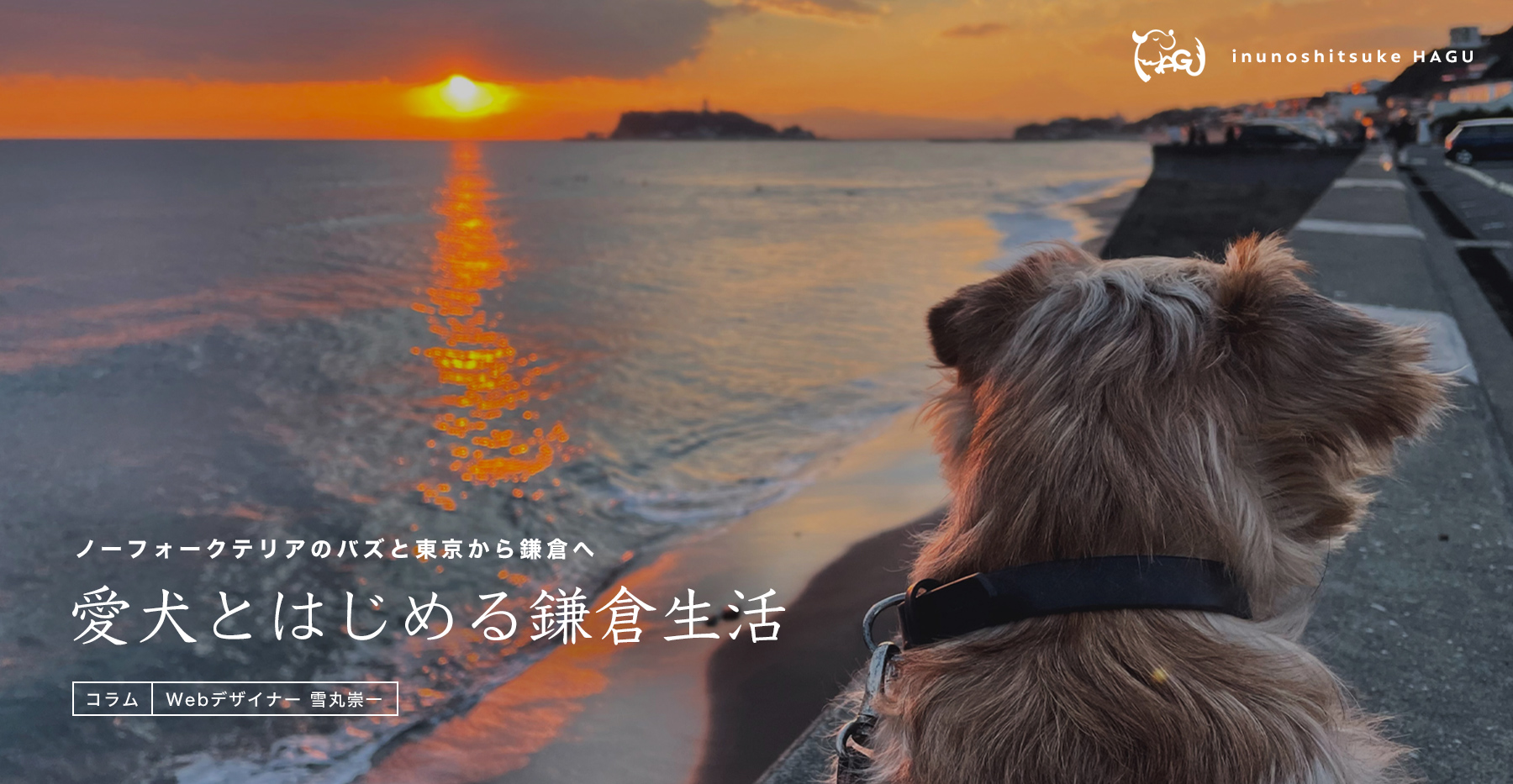 【ノーフォークテリア】WEBデザイナーゆきまるさんと愛犬の鎌倉生活【コラム】