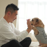 【ノーフォークテリア】WEBデザイナーゆきまるさんと愛犬の鎌倉生活【コラム】