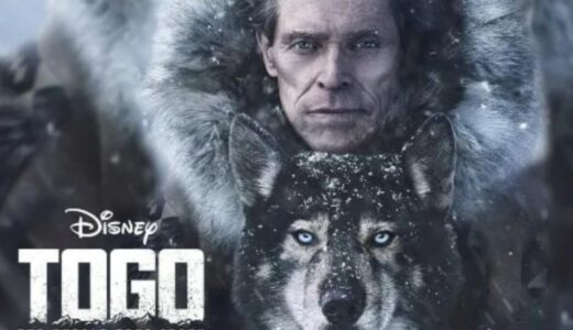 セント バーナード犬 ベートーベン2 恋の予感が 犬映画あらすじ紹介 犬のしつけ ハグ