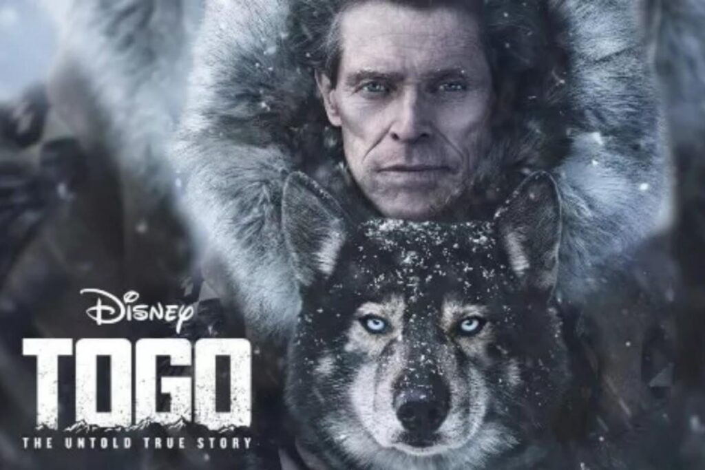 TOGO 映画ポスター