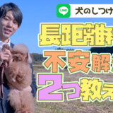 【犬のしつけ専門家が監修】旅行などの移動時の愛犬の不安解消法!