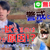 【ダックスフンド 犬】誰彼構わずすぐ吠える!わんちゃんの吠え癖に困っている人向けに吠える理由と簡単対処法をプロが解説!