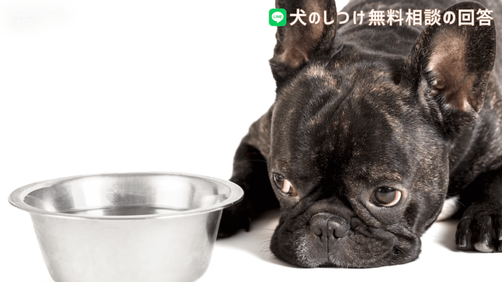【犬のしつけ専門家が解説】噛み癖！威嚇！のお悩みを解決！|フレンチブルドッグ 食事中に限定されるのであれば、食器を出すときから気を付けてください。