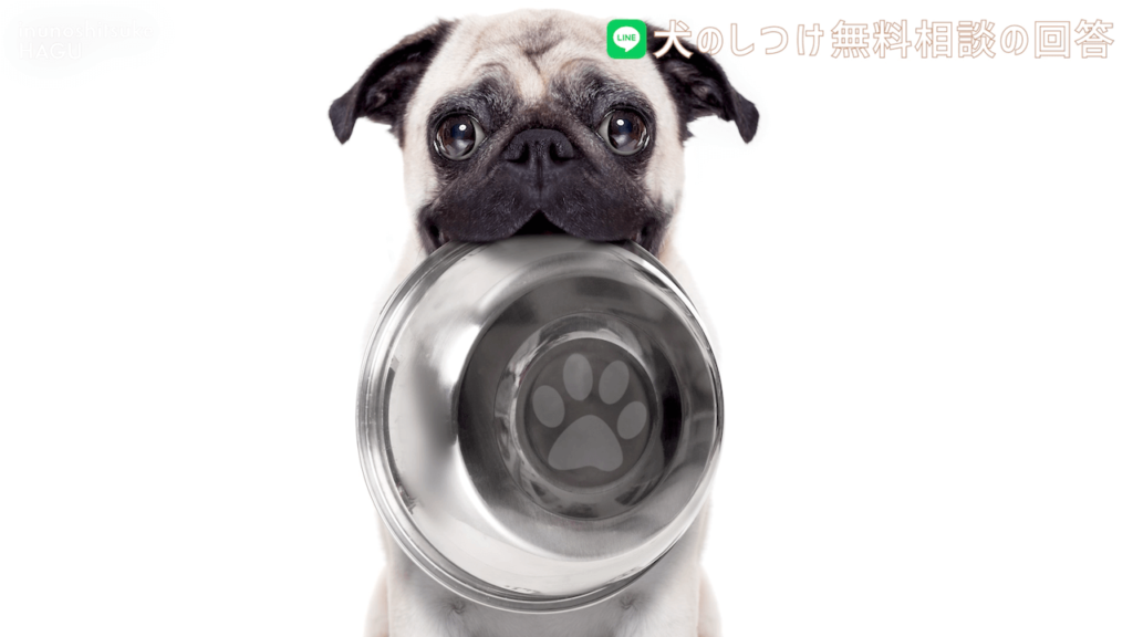 【犬のしつけ専門家が解説】噛み癖！威嚇！のお悩みを解決！|フレンチブルドッグ ごまかしながら食器を取ろうとすることは、逆効果です。