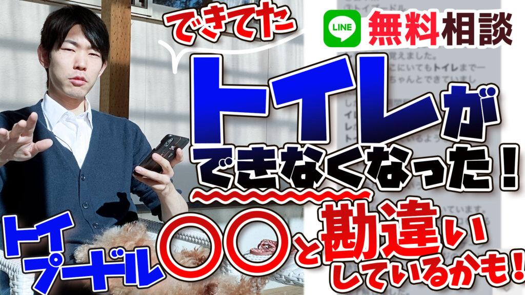 犬のしつけ専門家徹底解説 完璧だったトイレが失敗 改善方法とは トイプードル 犬のしつけ ハグ