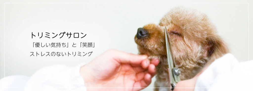 【犬のしつけ専門家が運営】トリミングサロン 文京区 犬のしつけ教室