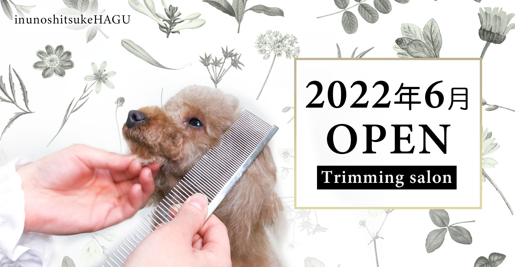 2022年犬のしつけハグトリミングサロンオープン！
