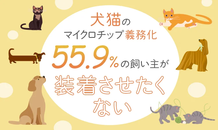 【犬猫のマイクロチップ義務化】55.9%の飼い主が「装着させたくない」