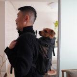健康診断のススメ【ノーフォークテリア 犬】愛犬バズと暮らす鎌倉生活