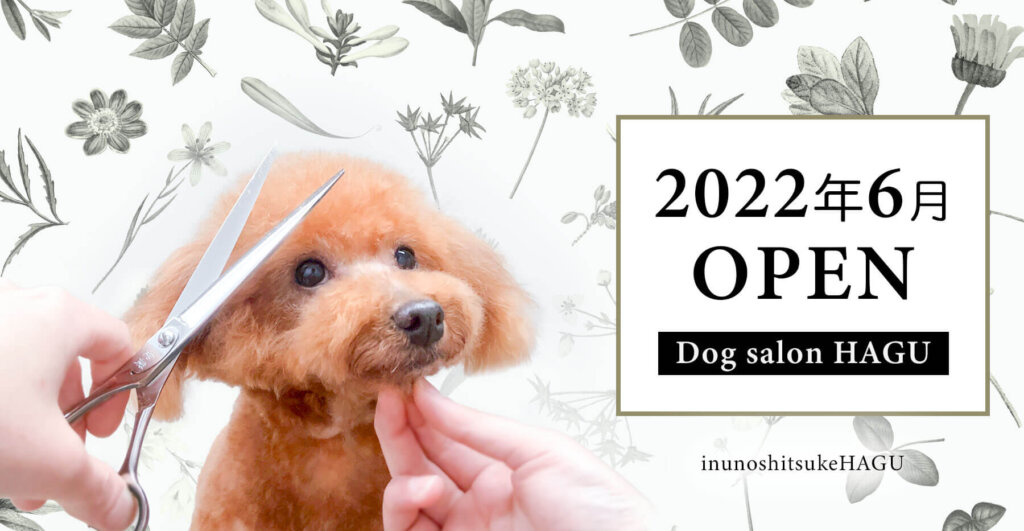 2022年犬のしつけハグトリミングサロン 東京都 文京区