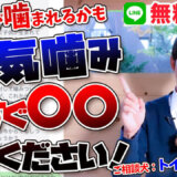 【犬のしつけ専門家が解説】4歳のトイプードルの噛み癖は治る?