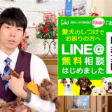 【犬のしつけ専門家が解説】多頭飼いで気を付けるべきこととは?