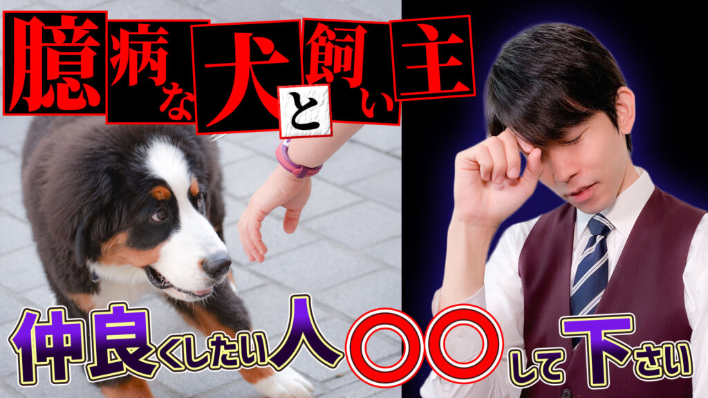 【ビビり犬?!】臆病で困ってる飼い主さん!ワンちゃんと仲良くする方法教えます!