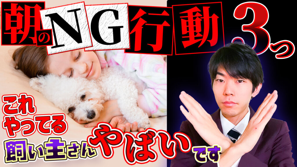 【意外な罠】「朝」愛犬と過ごすときにやっている事…愛犬のストレスになっているかも?!【一緒に寝る】