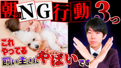 【意外な罠】「朝」愛犬と過ごすときにやっている事…愛犬のストレスになっているかも？！【一緒に寝る】
