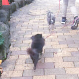 ブリッジフォースマイル お仕事体験