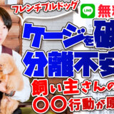 志村けんさんの死に直面した愛犬達 犬は飼い主さんの死を理解できるの 犬のしつけ ハグ