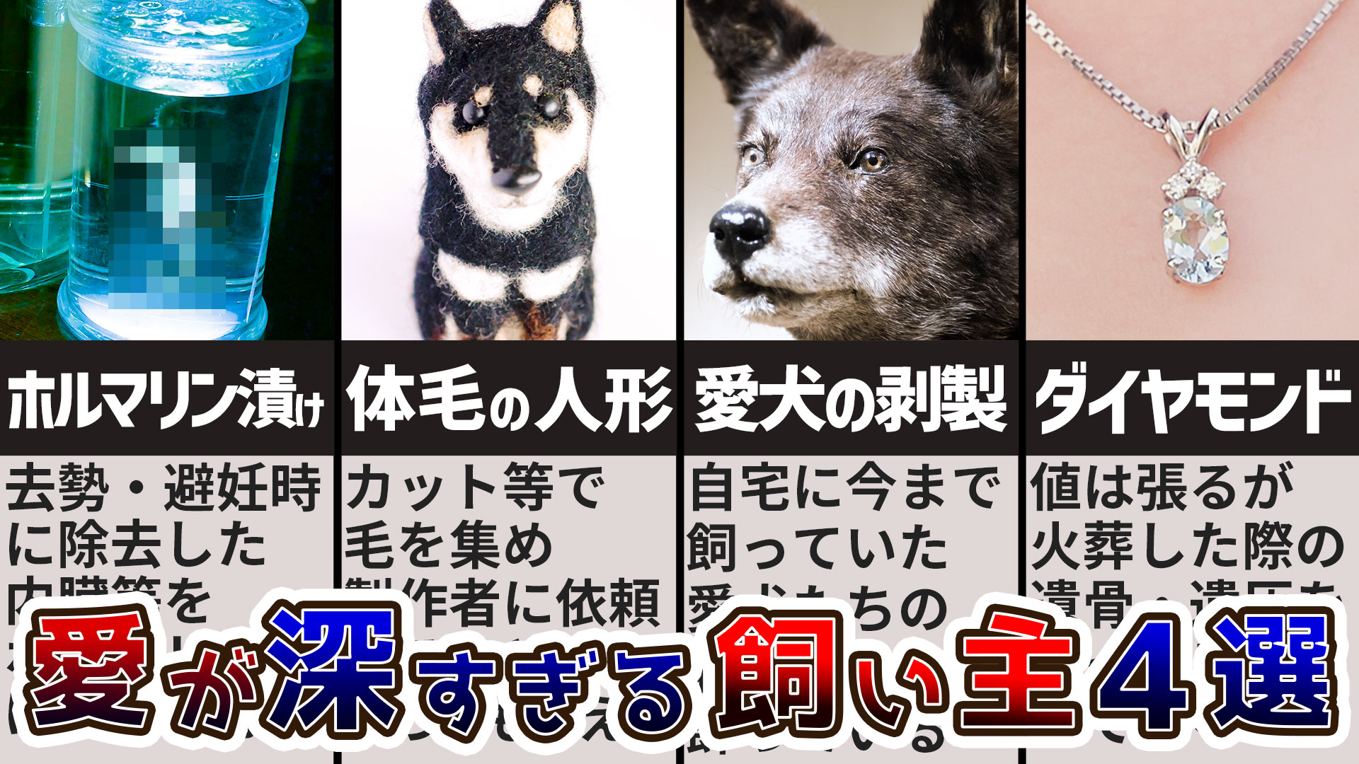 実話】トレーナーが衝撃を受けた「愛情が深すぎる飼い主」4選 | 犬のしつけ ハグ