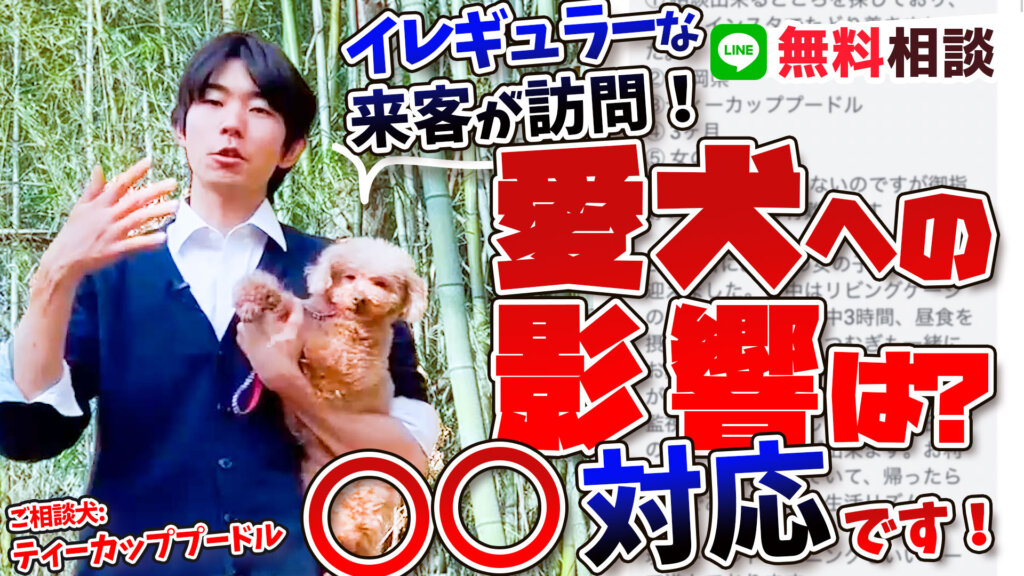 【犬の生活リズム】慣れてない人が自宅に来る場合…！愛犬には〇〇の対応をしましょう！