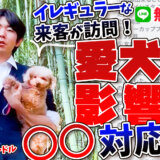 【犬の生活リズム】慣れてない人が自宅に来る場合…！愛犬には〇〇の対応をしましょう！