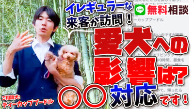 【犬の生活リズム】慣れてない人が自宅に来る場合…！愛犬には〇〇の対応をしましょう！
