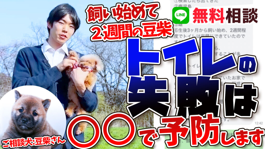 お外で排泄をし始めた愛犬ちゃん！〇〇をすることで防げます！