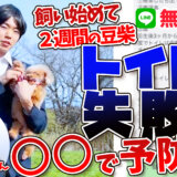 お外で排泄をし始めた愛犬ちゃん!〇〇をすることで防げます!