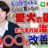 【お悩み相談】ふりかけだけ食べてフードをちゃんと食べてくれない!もしかしたら〇〇になってるかも!