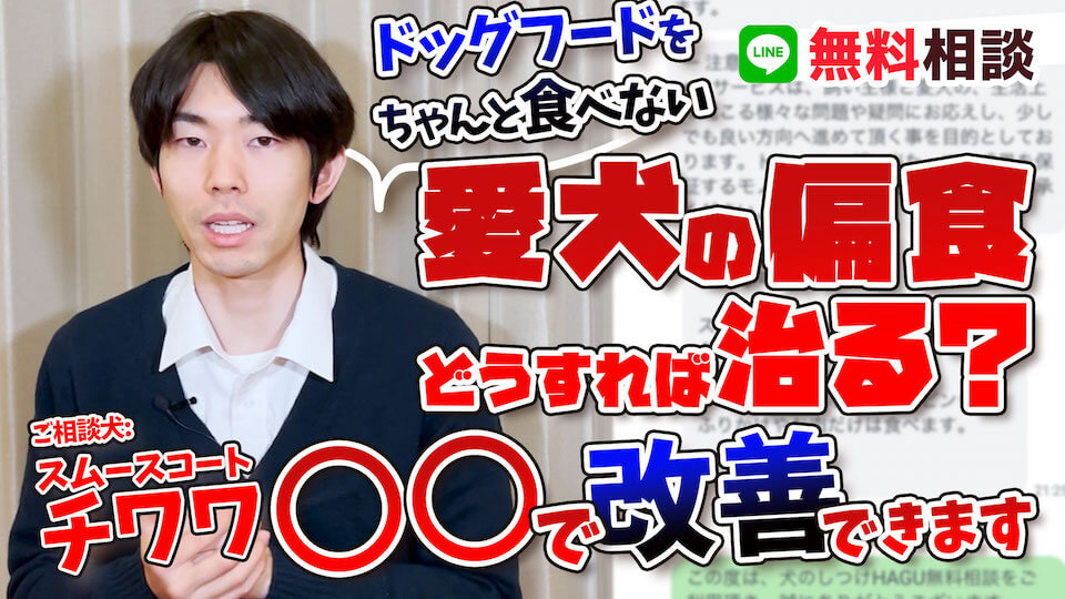【お悩み相談】ふりかけだけ食べてフードをちゃんと食べてくれない！もしかしたら〇〇になってるかも！