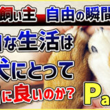 【Part.7 自由】飼い主と愛犬 真の意味でのお互いの自由とは?最後のテーマについてお話致します!