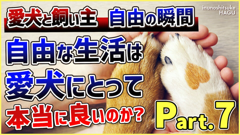 【Part.7 自由】飼い主と愛犬 真の意味でのお互いの自由とは?最後のテーマについてお話致します!