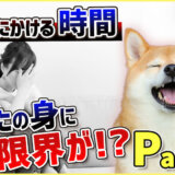 【Part.5 時間 労力】私生活がどんどん無くなる…!?愛犬との生活では何に時間を使ってしまうか解説!