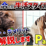 【Part.3 管理方法】飼育環境は1種類じゃない!犬の性格+飼い主の日常に会ったベストな生活スタイルを見つけよう!