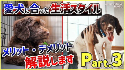 【Part.3 管理方法】飼育環境は１種類じゃない！犬の性格+飼い主の日常に会ったベストな生活スタイルを見つけよう！